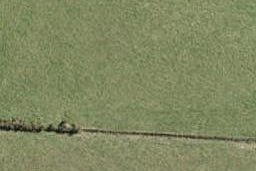 21 Hoihoi Close, Drury, Drury