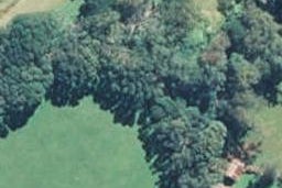 211 Pukearuhe Road, URENUI, Urenui