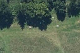 0 Whanganui River Rd (State Highway 43), Taumarunui, Taumarunui