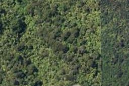 0 Grove Arm, Whenuanui Bay, Picton