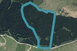 0 Hall Rd, Tinopai