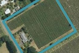 145 Vickerman Street, Grovetown, Blenheim