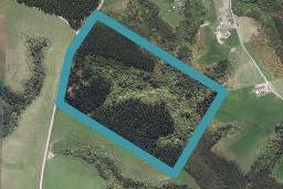 230 Otokia-Kuri Bush Road East, Kuri Bush, Dunedin