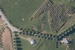 9 Poplar Glade, Mangawhai, Mangawhai
