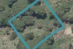 4 Kingfisher Place, Ocean Grove, Dunedin
