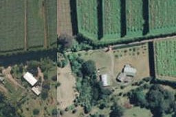 51 Killen Road, Tahawai, Katikati