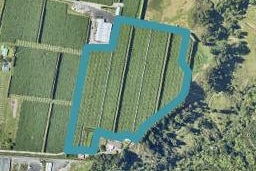 419 Joyce Road, Pyes Pa, Tauranga