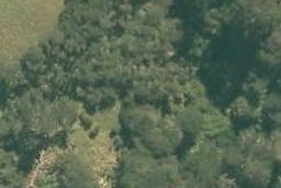 0 State Highway 1, Dome Forest, Warkworth