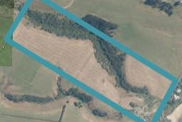 964 Taieri Mouth Road, Kuri Bush, Dunedin