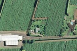288B No 3 Road, Te Puke, Te Puke
