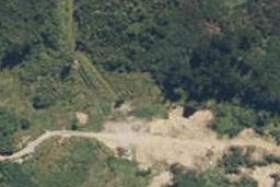49 Stuart Street, Lake Kaniere, Kokatahi