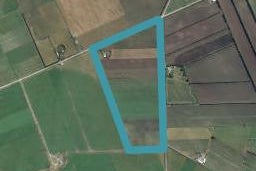 265 Irwell Rakaia Road, Leeston, Leeston