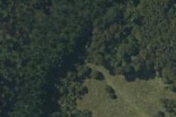 184 Hikuai Settlement Road, HIKUAI, Hikuai