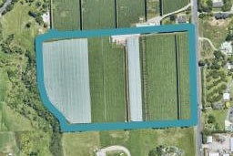 486 Pyes Pa Road, PYES PA, TAURANGA