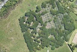 196C Pukemapu Road, Oropi, Oropi