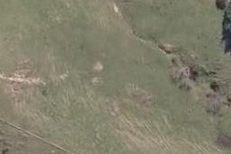 0 Franklin Road, Paparoa, Paparoa
