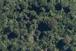 4 Pehi Road, WAIMARINO, OWHANGO