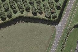 113 Airport Drive, New Plymouth Airport, New Plymouth