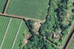 146 No 4 Road, Te Puke, Te Puke