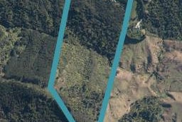 249 Moir Hill Road, Warkworth, Warkworth