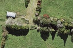 10 Wai Place, Westgate, Auckland