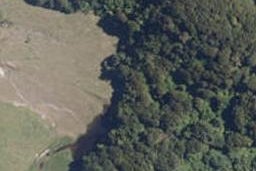 0 Kopikopiko Rd, Eketahuna, Eketahuna