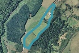 719 Work Road, Whakamarama, Katikati