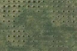 0 Olea Lane, Mangawhai, Mangawhai