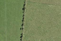 24 Hoihoi Close, Drury, Drury