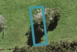 54 Te Aniwaniwa Terrace, Albany, Auckland