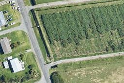 82 Tangitu Road, Te Puna, Tauranga