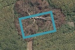 19 Akakura Terrace, Peacocke, Hamilton