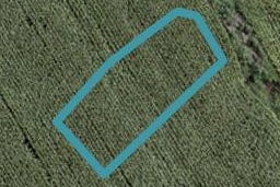15 Gertrude Cole Road, Clarks Beach, Clarks Beach