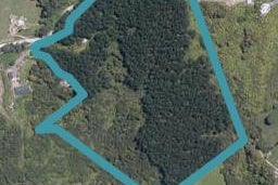 105 Govan Wilson Road, Whangaripo, Wellsford