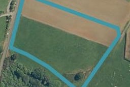 95 Farmpark Road, WAIUKU, Waiuku
