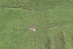 24 Toetoe Street, Westgate, Auckland