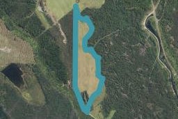 0 Larrikins Rd, Dillmanstown, Greymouth