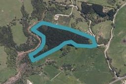 41 Sterling Road, Paparoa, Paparoa