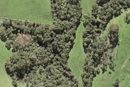 12F Arrowsmith Road, Waitākere, Auckland