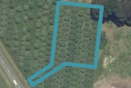 858 Frontier Road, Pirongia, Pirongia