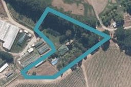 191A Ripponvale Road, Cromwell, Cromwell