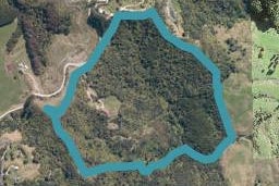 423 Wyllie Road, Warkworth, Warkworth