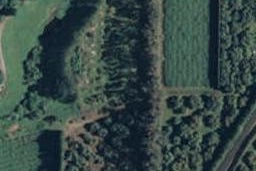 302 Athenree Road, Athenree, Katikati
