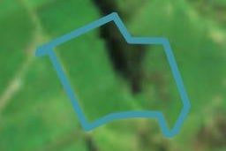0 Ness Road, Waipapa