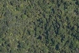 0 Paponga Road, Kohukohu, Kohukohu