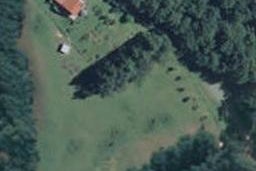 561 Kowai Road, Springfield, Springfield