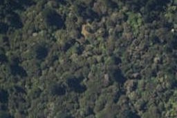 0 Paradise Bay, Pinohia, Havelock