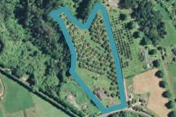 224 Williams Road North, Pyes Pa, Tauranga
