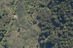 0 McDonald Road, Kawakawa, Kawakawa