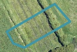 187 Adler Drive, Ohauiti, Tauranga